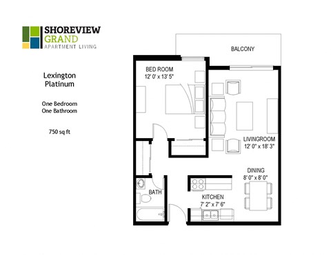 Lexington Platinum Floor Plan at Shoreview Grand, Minnesota, 55126